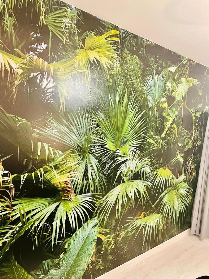 La Saveur Tropicale-Proche Centre Ville-Aeroport โบเวส์ ภายนอก รูปภาพ